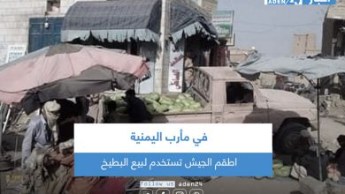 صورة في مأرب اليمنية اطقم الجيش تستخدم لبيع البطيخ
