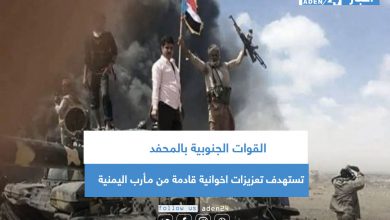 صورة القوات الجنوبية بالمحفد تستهدف تعزيزات اخوانية قادمة من مـأرب اليمنية