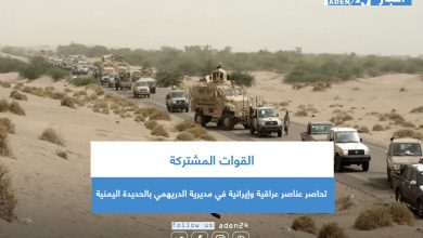 صورة القوات المشتركة تحاصر عناصر عراقية وإيرانية في مديرية الدريهمي بالحديدة اليمنية