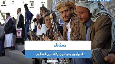 صورة الحوثيون يفرضون زكاة على النحالين