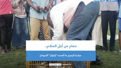 صورة حمام من أجل السلام.. مبادرة لترميم ما أفسده “إخوان” السودان