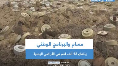 صورة مسام والبرنامج الوطني يتلفان 43 ألف لغم في الأراضي اليمنية