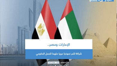 صورة الإمارات ومصر.. شراكة تثمر نموذجا عربيا ملهما للعمل الحكومي