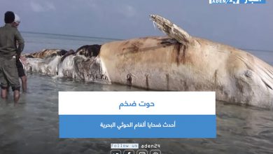 صورة حوت ضخم أحدث ضحايا ألغام الحوثي البحرية