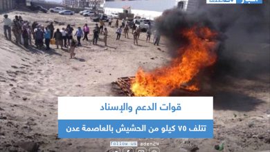 صورة قوات الدعم والإسناد تتلف 75 كيلو من الحشيش بالعاصمة عدن