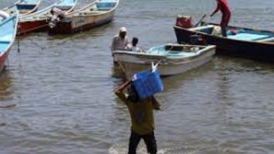 صورة صيادو شقرة يمنعون دخول قارب صيد اسواق حراج الاسماك بالبندر قادم من القرن الافريقي” لهذا السبب”