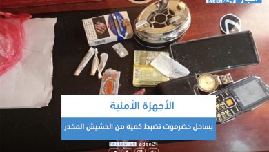 صورة الأجهزة الأمنية بساحل حضرموت تضبط كمية من الحشيش المخدر