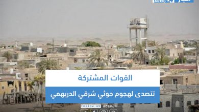 صورة القوات المشتركة تتصدى لهجوم حوثي شرقي الدريهمي