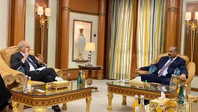 صورة الرئيس الزُبيدي يستقبل سفير المملكة المتحدة