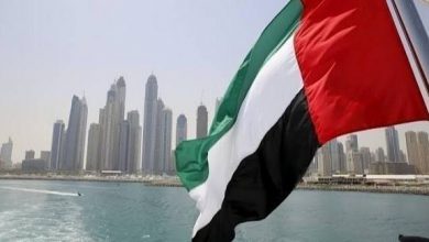 صورة الإمارات نموذج عالمي في مواجهة الأزمات