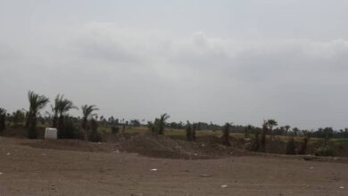 صورة مليشيا الحوثي تستهدف منازل ومزارع المواطنين في الجبلية جنوب الحديدة