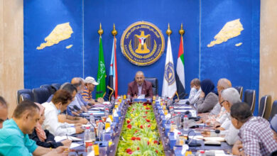صورة الرئيس الزُبيدي يلتقي أعضاء اللجنة الاقتصادية العُليا للمجلس