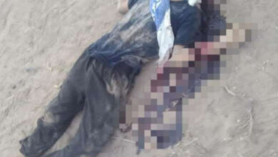 صورة الأجهزة الأمنية بـ لحج تلقي القبض على 3 متهمين في واقعة قتيل “مزرعة تبن”