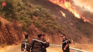 صورة الجزائر.. ارتفاع حصيلة ضحايا حرائق الغابات إلى 65
