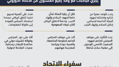 صورة إنفوجرافيك|لقاء الرئيس القائد عيدروس الزُبيدي ببعثة الاتحاد الأوروبي في العاصمة عدن