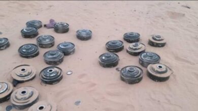 صورة الفرق الهندسية التابعة للعمالقة الجنوبية تنتزع عشرات الألغام الحوثية في عسيلان