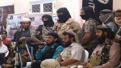 صورة تنظيم القاعدة.. ذراع الحوثي وأداة الإخوان في الجنوب “تقرير”