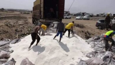 صورة إتلاف حاوية سكر متعفن واردة بميناء عدن