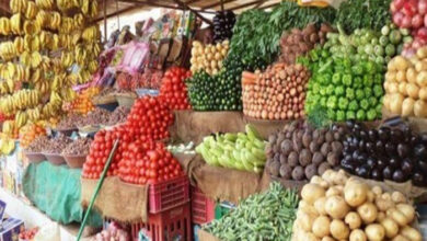صورة أسعار الخضروات والفواكه بأسواق العاصمة عدن اليوم الخميس