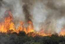 صورة من البرتغال إلى اليونان.. موجة حر خانقة وحرائق في جنوب أوروبا