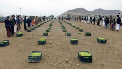 صورة جبايات الحوثي تفقر المزارعين وتضاعف من خسائرهم