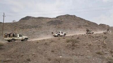 صورة بالتزامن مع عمليات للقاعدة.. القوات الجنوبية تحبط هجمات حوثية في محافظتي لحج وأبين
