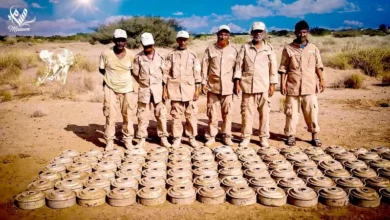 صورة “مسام”: نزع أكثر من 16 ألف لغم وقذيفة في الثلث الأول من العام الجاري