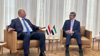 صورة الرئيس الزُبيدي يلتقي وزير الخارجية الإماراتي